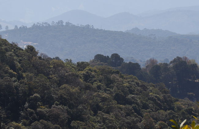 Tour en 4x4 por Monte Verde - Foto 3