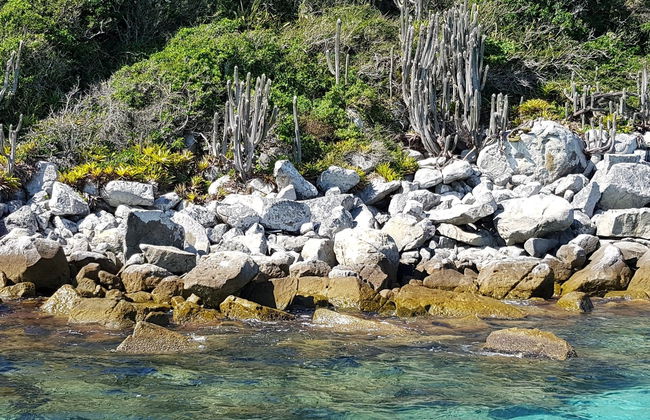 Paseo en barco por Arraial do Cabo - Foto 8