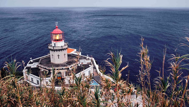 Povoação & Nordeste Jeep Tour - Foto 3