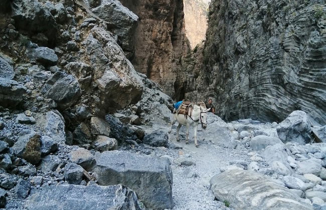 Senderismo por la garganta de Samaria - Foto 6