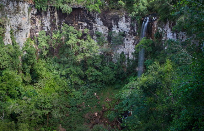 Excursión a Salto Encantado y Moconá - Foto 7