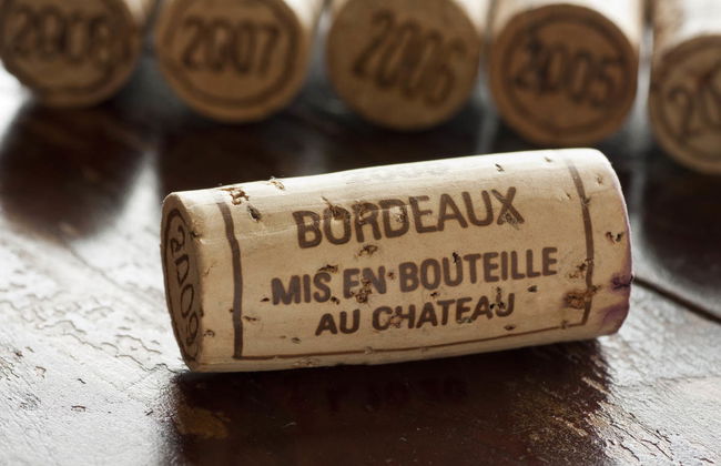 Bordeaux Wine Tour - Foto 1