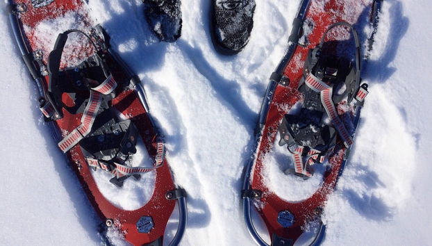 Balade en raquettes à neige - Photo 2
