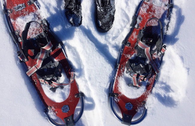 Balade en raquettes à neige - Photo 2