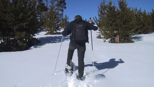 Balade en raquettes à neige - Photo 3