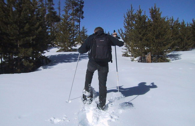 Balade en raquettes à neige - Photo 3