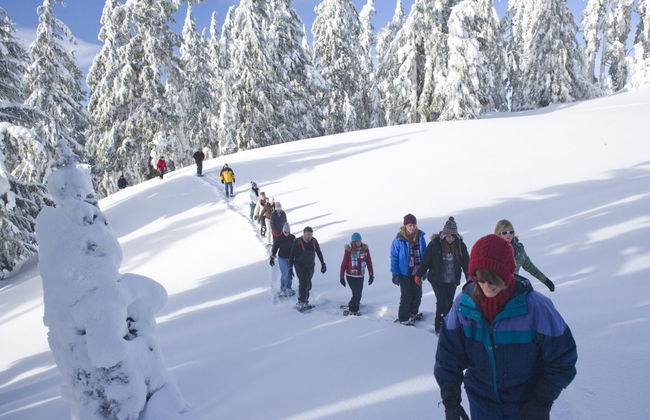 Balade en raquettes à neige - Photo 1