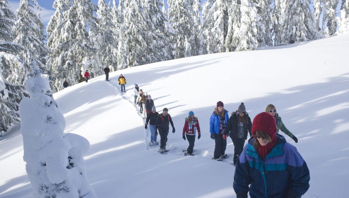Balade en raquettes à neige - Photo 1