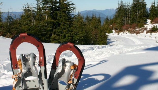 Passeio com raquetes de neve - Foto 5