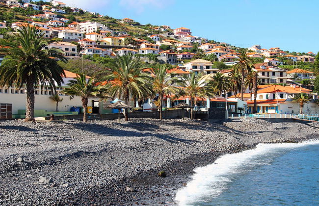 Santo da Serra Market Day Trip - Foto 3