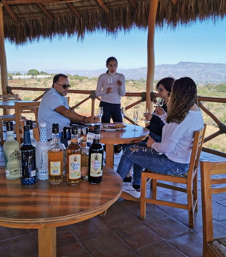 Foto de Excursión a Tequila con visita a una destilería y degustación