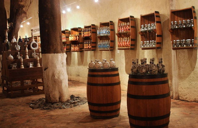 Excursión a Tequila con visita a una destilería y degustación - Foto 7