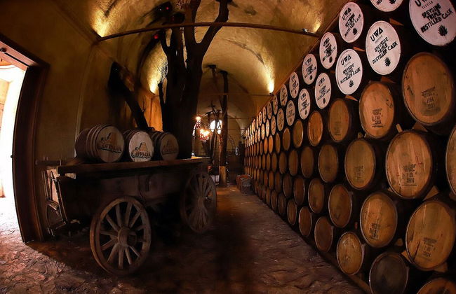 Excursión a Tequila con visita a una destilería y degustación - Foto 6