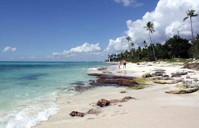 Conduite de bateau à moteur à Bayahibe - Photo 3