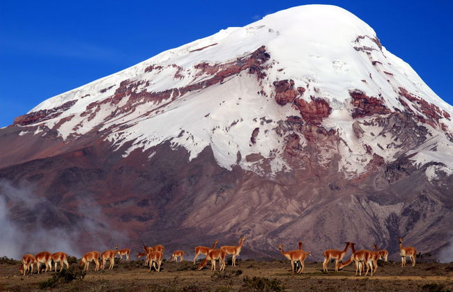 Chimborazo Volcano 2-Day Hike - Foto 6