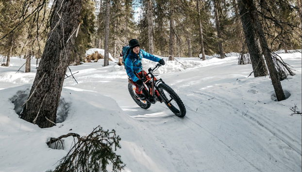 Pallas-Yllästunturi Electric Bike Tour - Photo 2