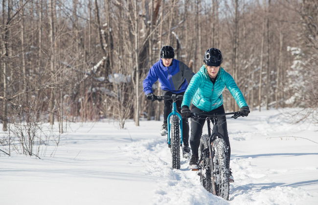Pallas-Yllästunturi Electric Bike Tour - Photo 6