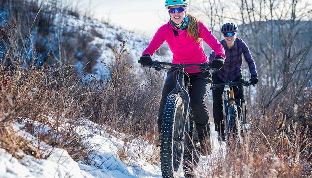 Pallas-Yllästunturi Electric Bike Tour - Photo 4