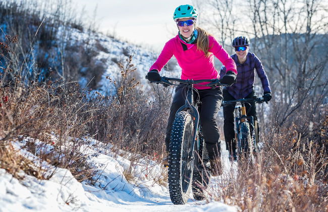 Pallas-Yllästunturi Electric Bike Tour - Photo 4