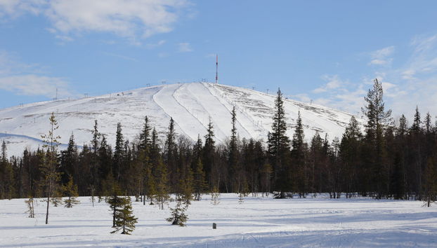 Pallas-Yllästunturi Electric Bike Tour - Photo 5