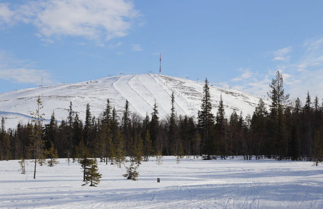Pallas-Yllästunturi Electric Bike Tour - Photo 5