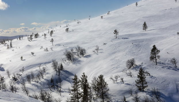 Pallas-Yllästunturi Electric Bike Tour - Photo 3