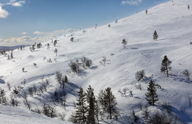 Pallas-Yllästunturi Electric Bike Tour - Photo 3