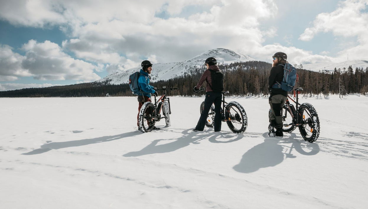 Pallas-Yllästunturi Electric Bike Tour - Photo 1