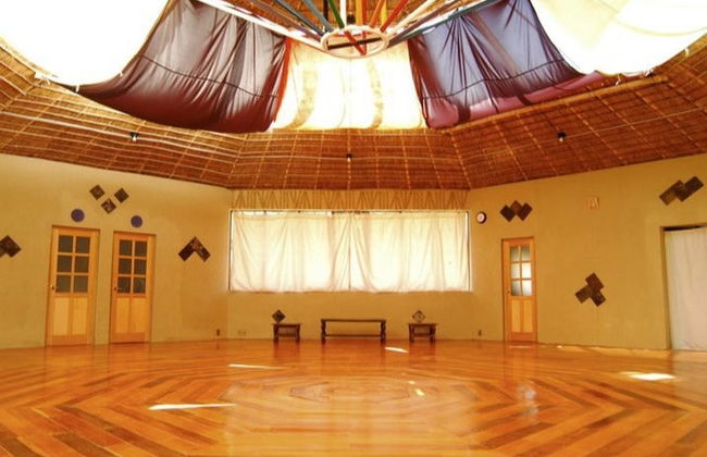Ceremonia de ayahuasca en La Paz - Foto 3