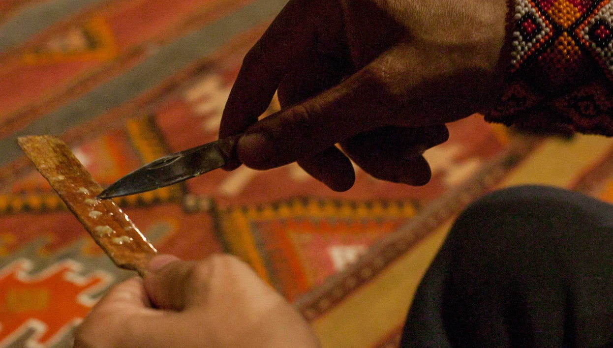 La Paz Ayahuasca Ceremony