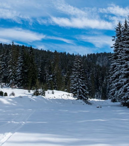 Foto de Excursión a las Montañas Olímpicas y Vrelo Bosne
