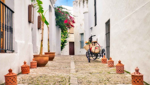 Vejer & Conil de la Frontera Tour - Foto 3