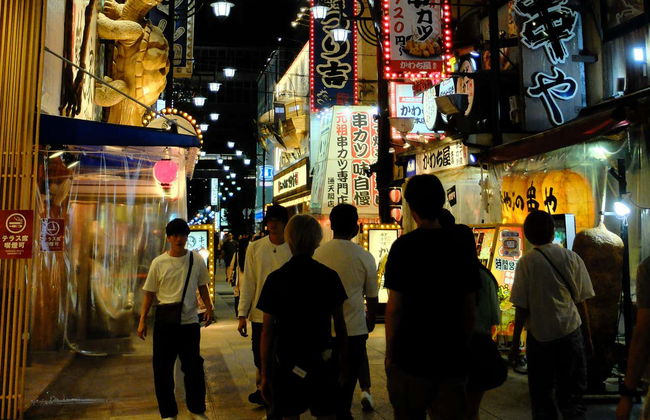 Tour nocturno por Osaka - Foto 6
