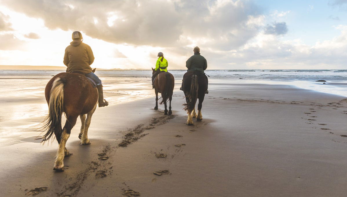 Beach Horse Ride - Photo 1