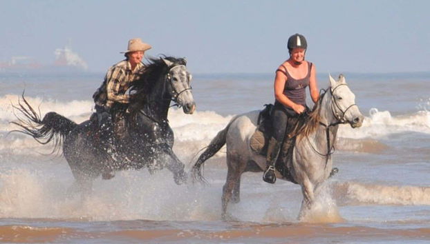 Beach Horse Ride - Photo 4