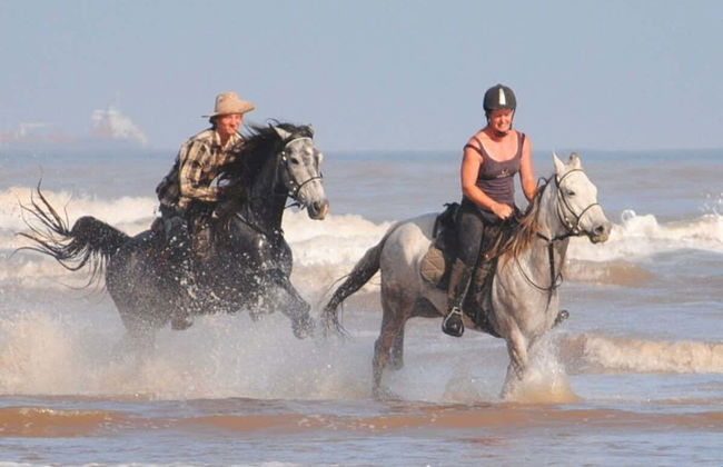 Beach Horse Ride - Photo 4