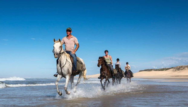 Beach Horse Ride - Photo 5