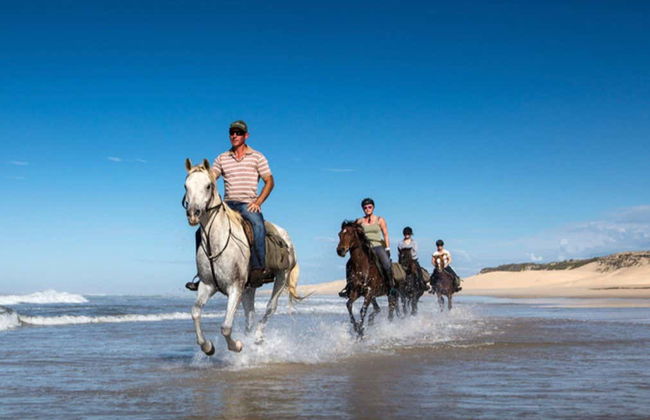 Beach Horse Ride - Photo 5