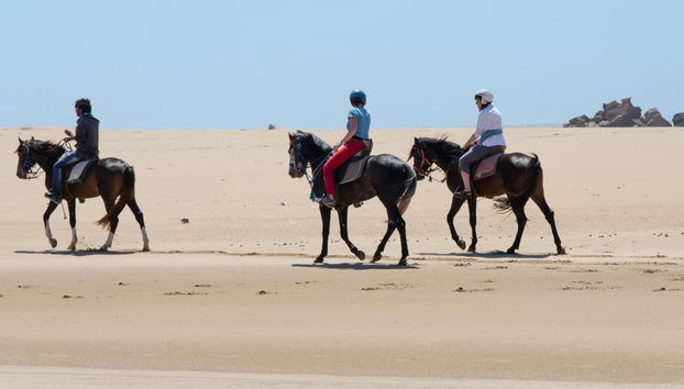 Beach Horse Ride - Photo 2