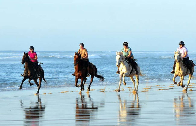Beach Horse Ride - Photo 6