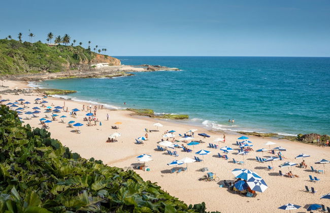 Tour panorámico por Salvador de Bahía - Foto 4