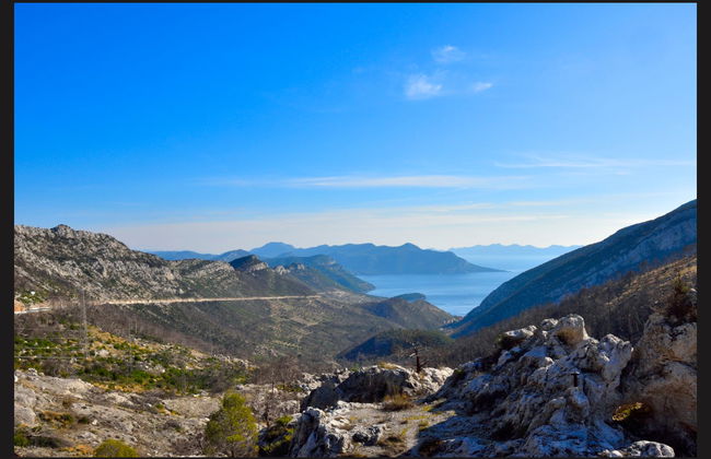 Elaphiti Islands Cruise + Lunch - Foto 3