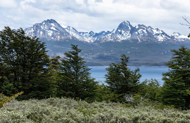 Excursión privada desde Ushuaia - Foto 2