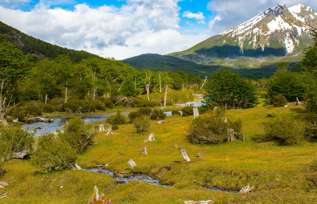 Excursión privada desde Ushuaia - Foto 7