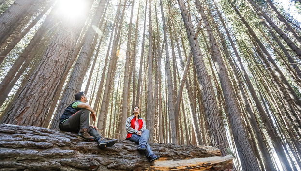 Disfrutando de la visita al Bosque de Arrayanes