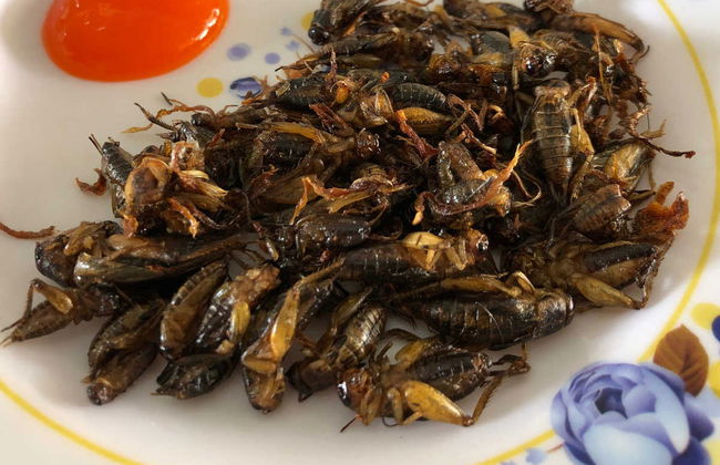 Da Lat Motorbike Tour: 2 Days - Photo 8