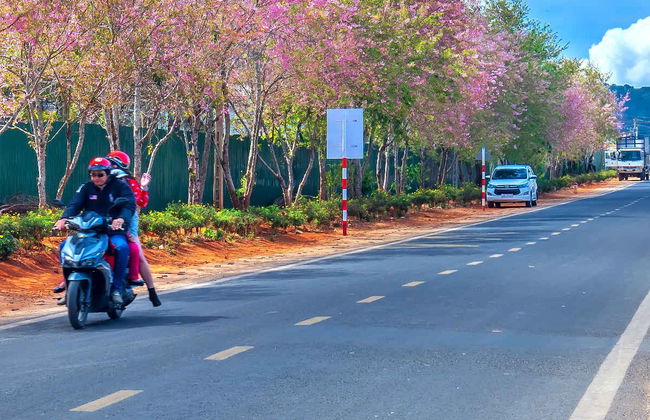 Da Lat Motorbike Tour: 2 Days - Photo 10