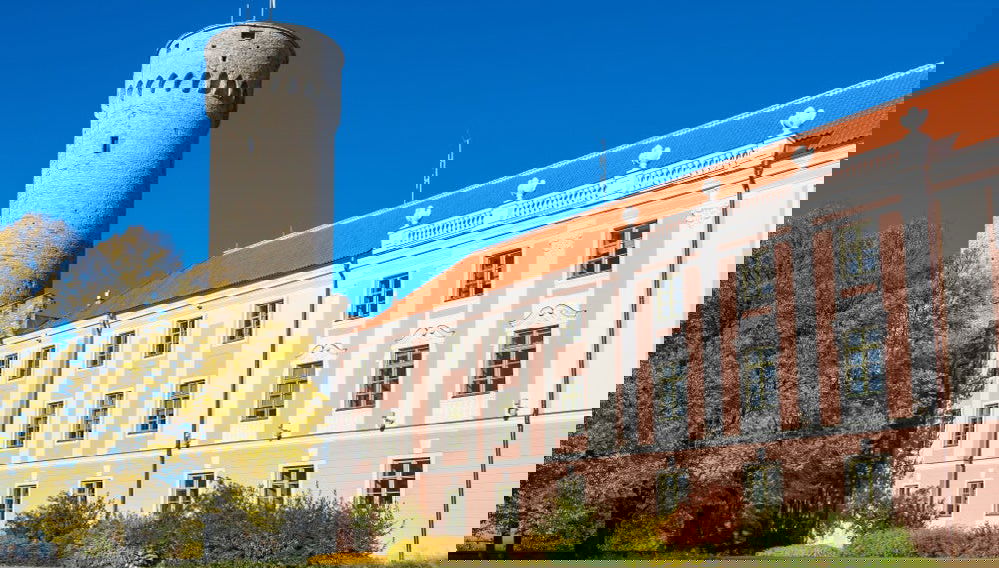 Visite privée de Tallin avec guide francophone - Photo 1