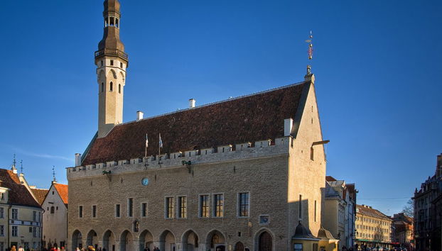 Visite privée de Tallin avec guide francophone - Photo 3