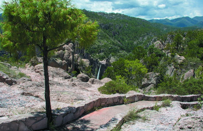 Excursion au Parc National Cascada de Basaseachi - Photo 6